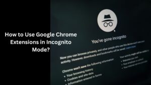 Read more about the article How to Use Google Chrome Extensions in Incognito Mode