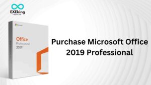 Read more about the article Purchase Microsoft Office 2019 Professional